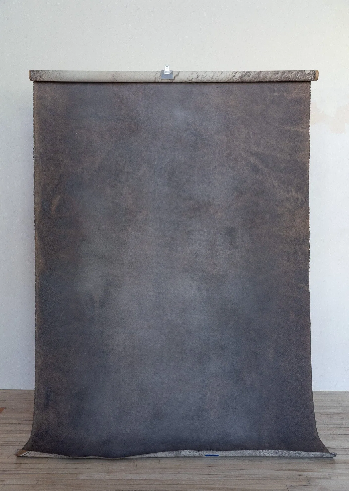 Firesmoke & Brandy #0761 Large Painted Canvas Backdrop
