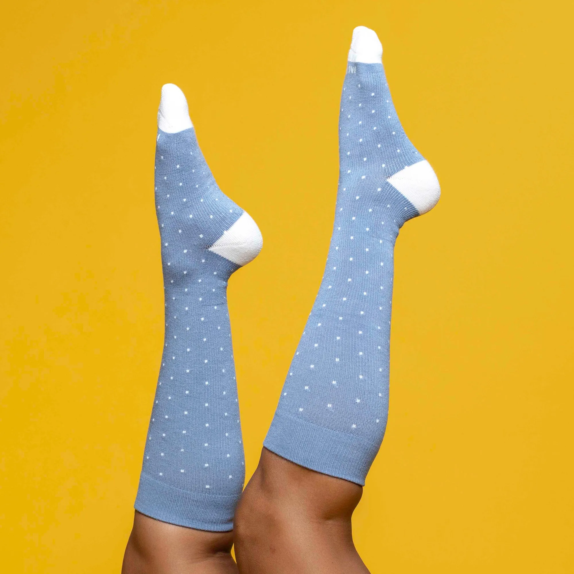 Powder Blue Dot