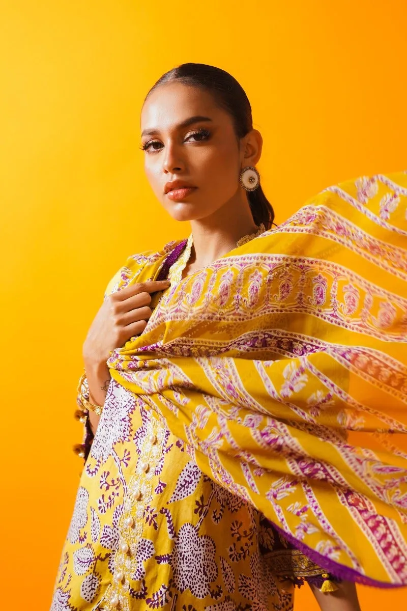 Sana Safinaz Mahay Summer Lawn Collection 2023 – H231-008B-CI